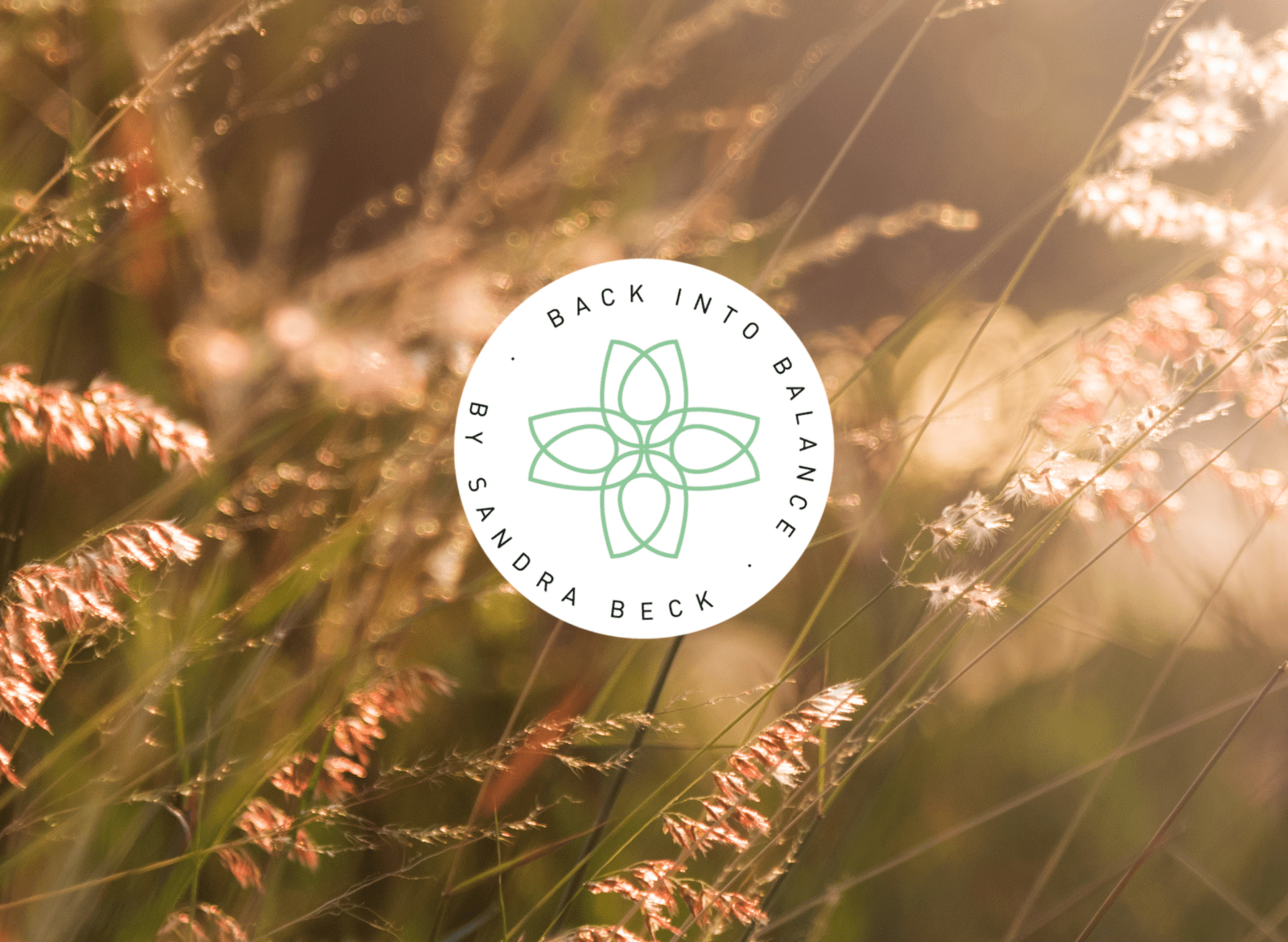 Back into Balance – Die Welt braucht Dich!